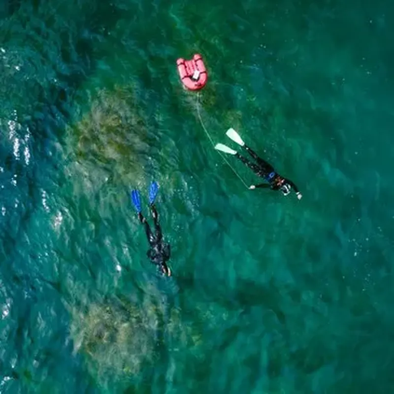 Billet Randonnée Palmée près de Collioure à Argelès-sur-Mer