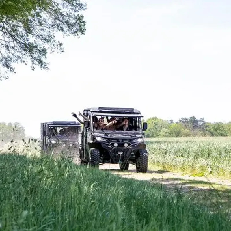 Billet Randonnée en Buggy près de Versailles