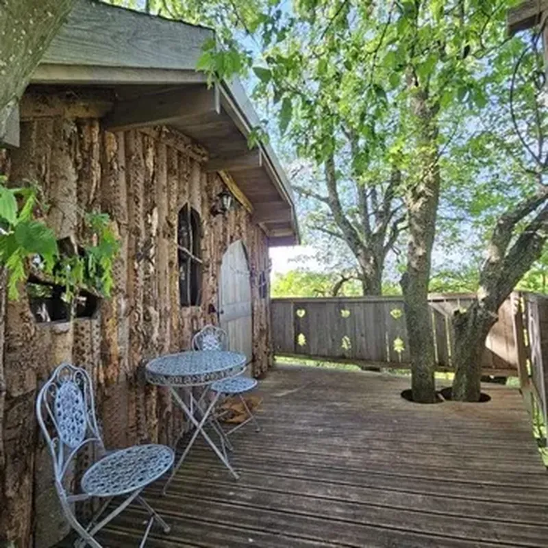 Billet Cabane dans les arbres près de Beauvais