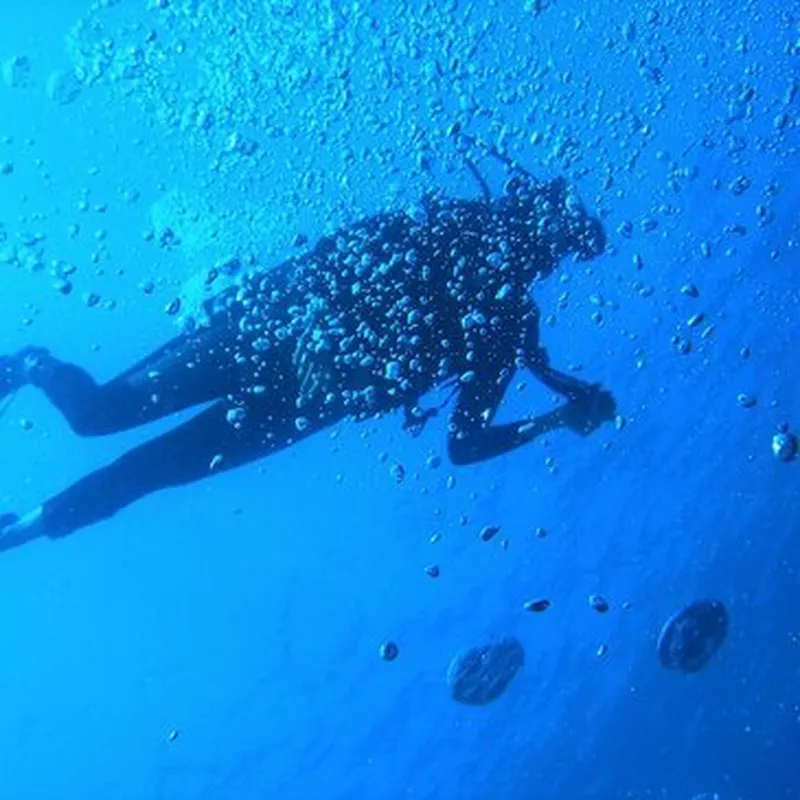 Billet Brevet de Plongée Niveau 1 près de Saulieu