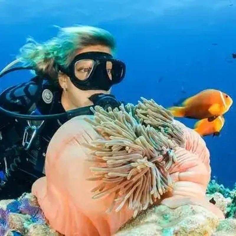 Billet Initiation à la plongée à Arcachon