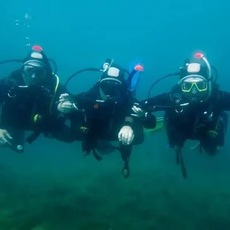 Billet Initiation à la Plongée près de Collioure à Argelès-sur-Mer