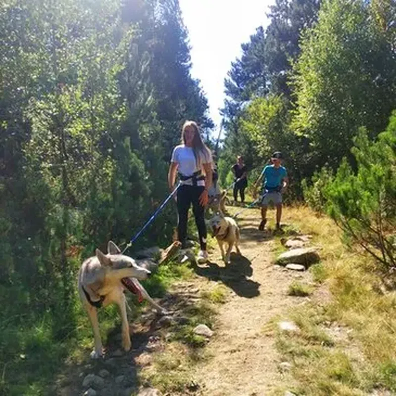 Billet Balade en Cani-Rando dans les Pyrénées Catalanes