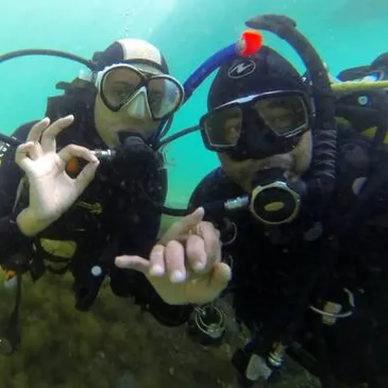 Billet Brevet de Plongée près de Collioure à Argelès-sur-Mer