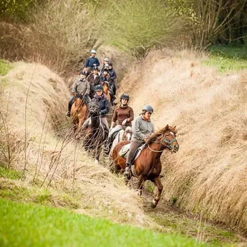 Billet Week end Insolite avec Balade à Cheval en Baie de Somme