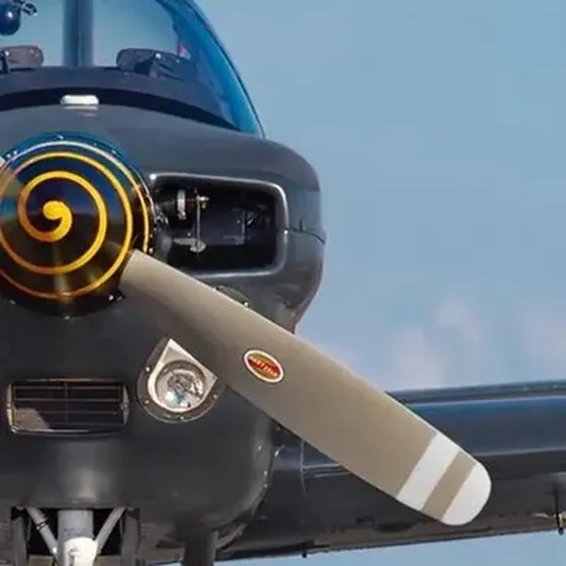 Billet Baptême de Voltige en Avion Militaire à La Roche-sur-Yon