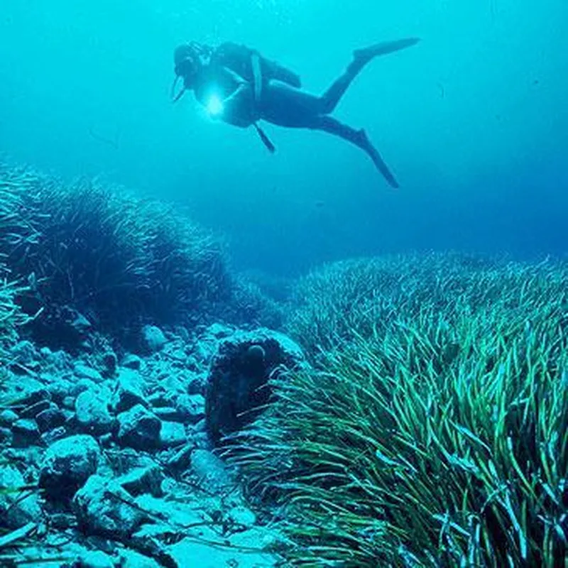 Billet Baptême de plongée et initiation à Villefontaine