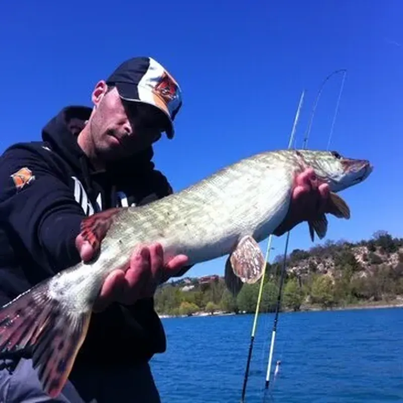 Billet Pêche aux Carnassiers sur le Lac de Sainte-Croix du Verdon