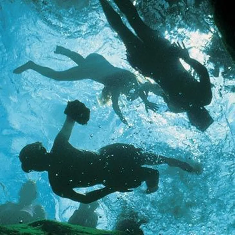 Billet Randonnée Palmée à Quiberon
