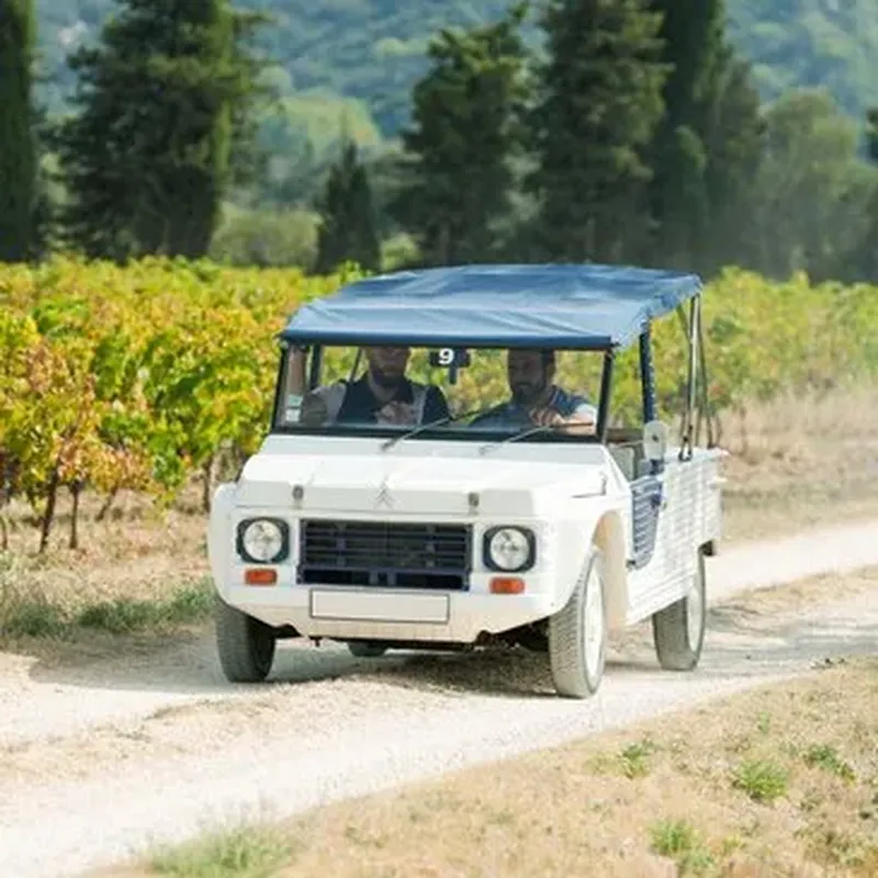 Billet Balade en Méhari Electrique entre Garrigue et Pont du Gard