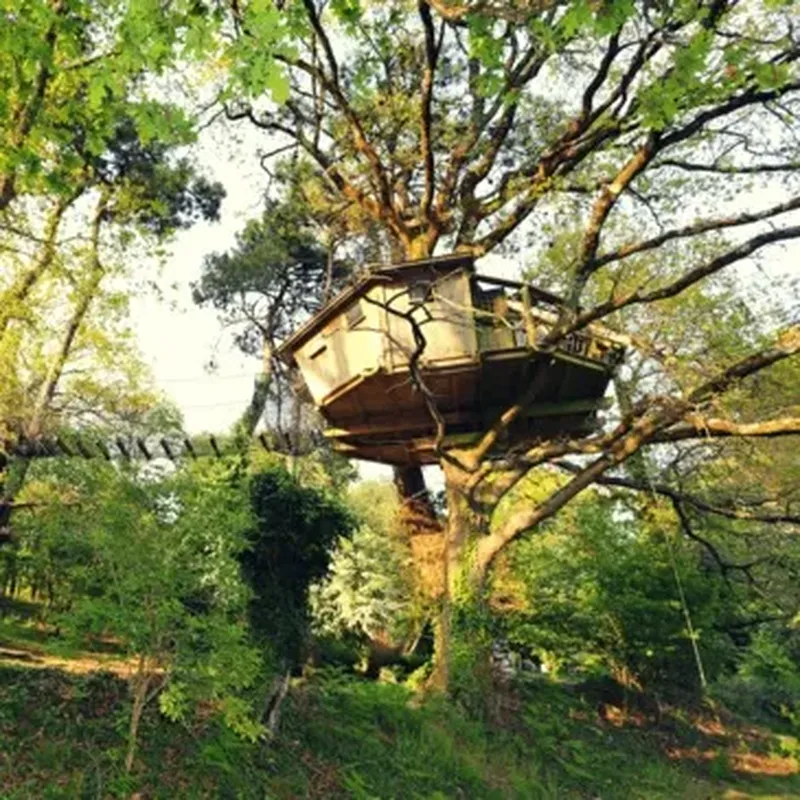 Billet Cabane dans les Arbres avec Spa près de Carnac