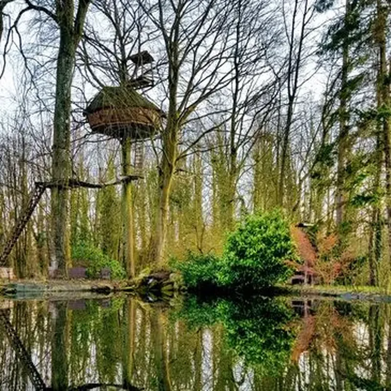 Billet Cabane dans les Arbres avec Spa près du Touquet