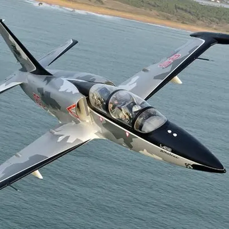 Billet Vol en Avion de Chasse L-39 à Avignon