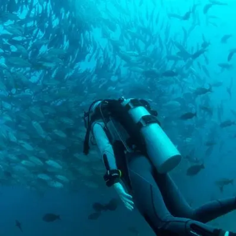 Billet Initiation à la Plongée à Saint-Cyprien près de Perpignan