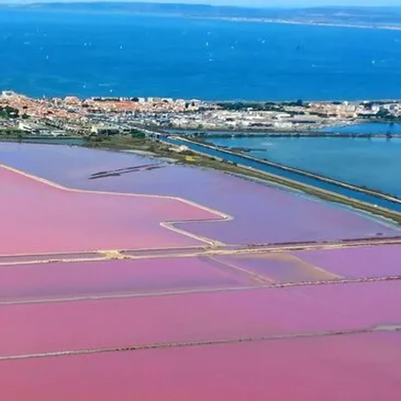 Billet Baptême en ULM Multiaxe - Survol de la Camargue