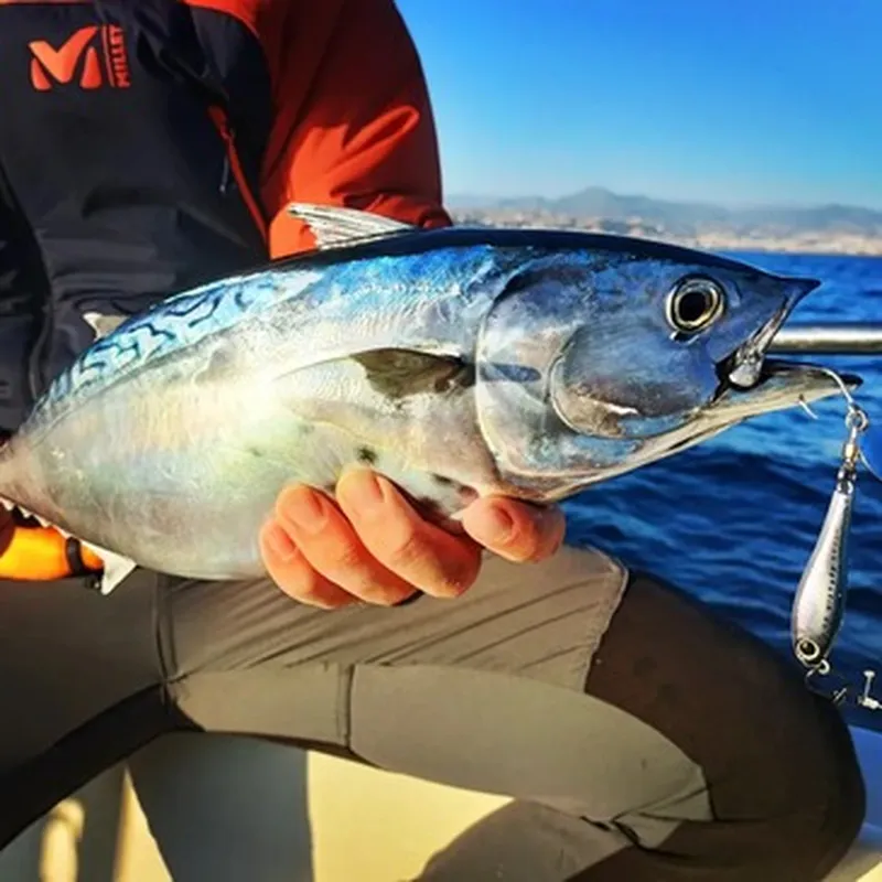 Billet Pêche Sportive à Nice