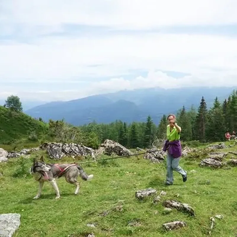 Billet Balade en Cani-Rando au Val d'Azun