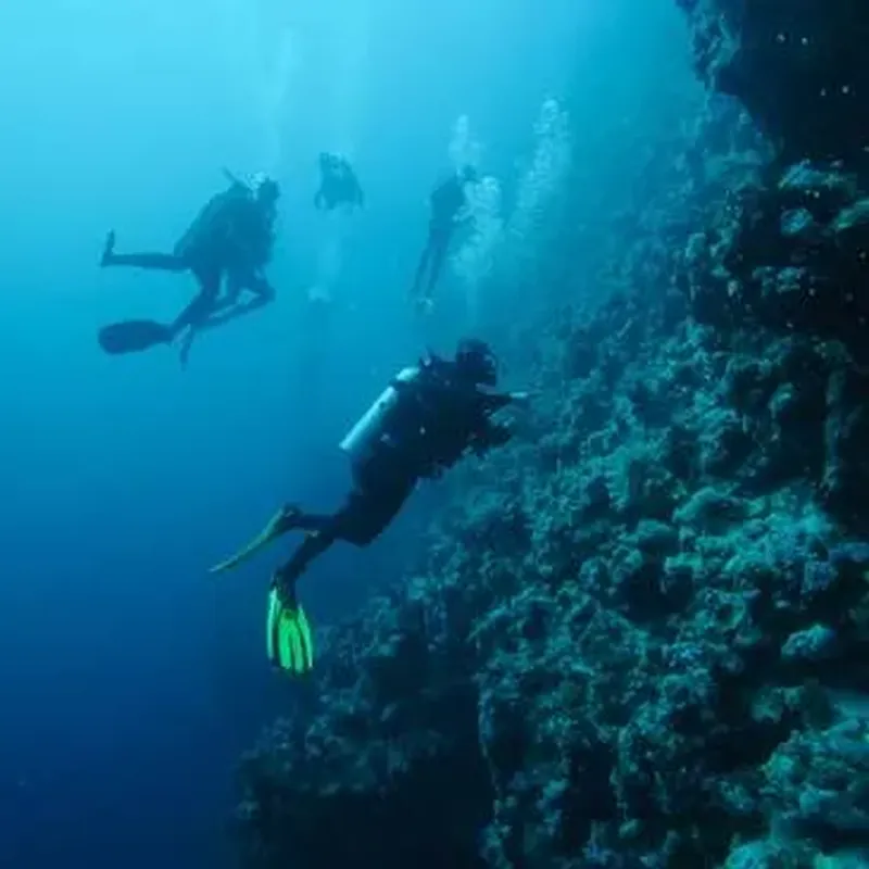 Billet Brevet de Plongée Niveau 1 à Angers