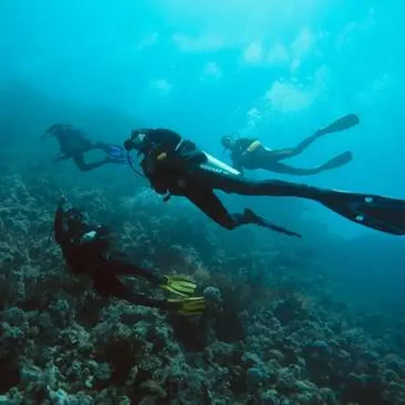 Billet Initiation à la plongée à Angers