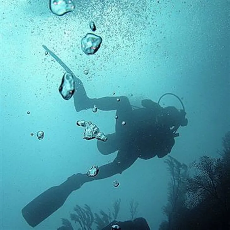 Billet Brevet de Plongée SSI Open Water à Perpignan