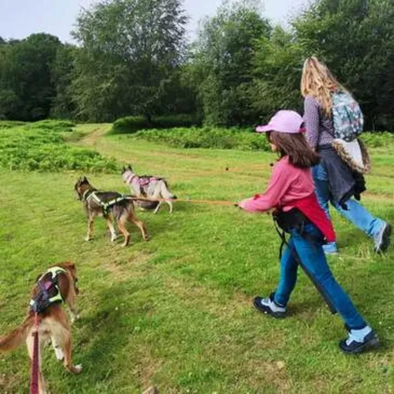 Billet Balade en Cani-Rando à La Mongie
