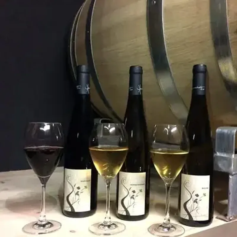 Billet Cours d'Œnologie au Domaine Humbrecht près de Colmar