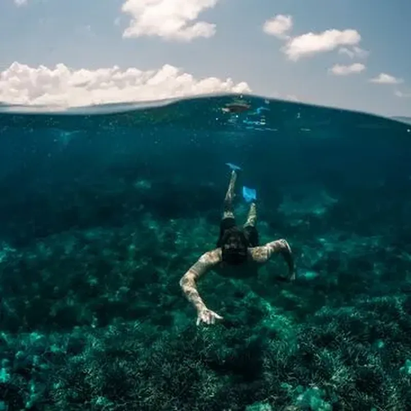 Billet Randonnée Palmée à Calvi
