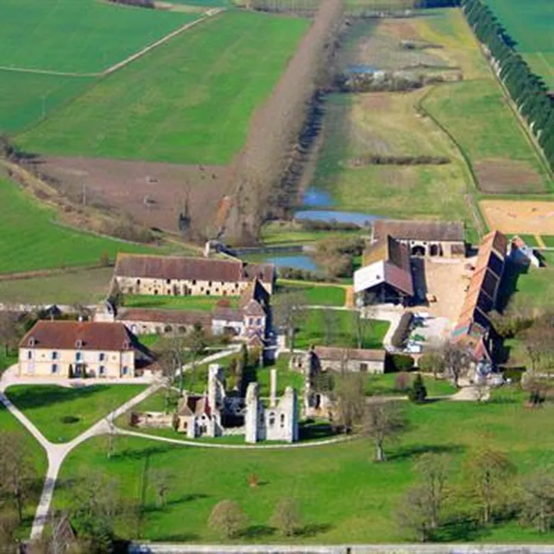 Billet Baptême en ULM Autogire à Pont-sur-Yonne