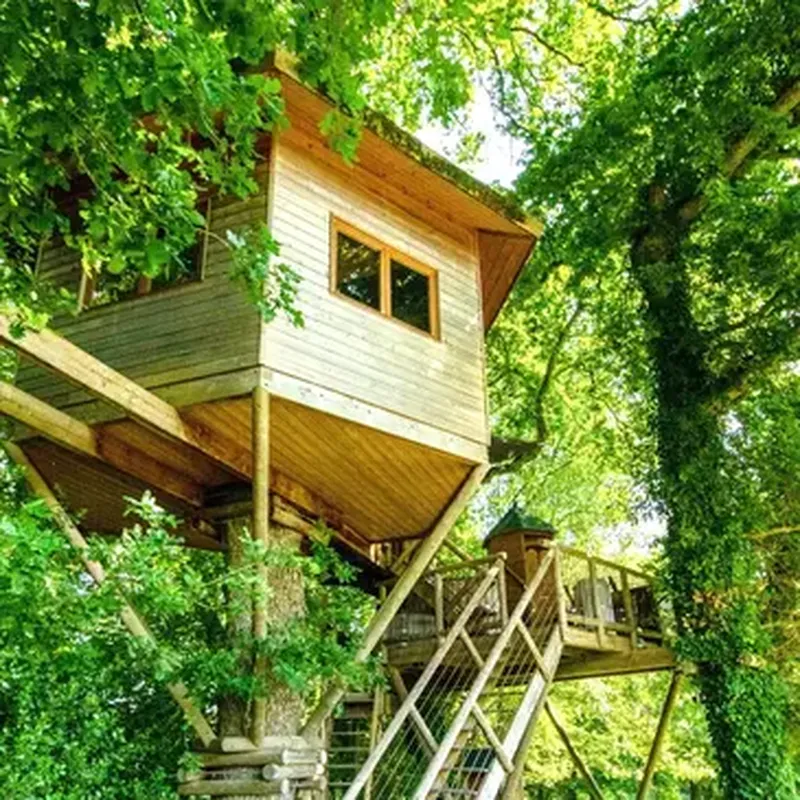 Billet Cabane dans les Arbres avec Spa près de Dinan
