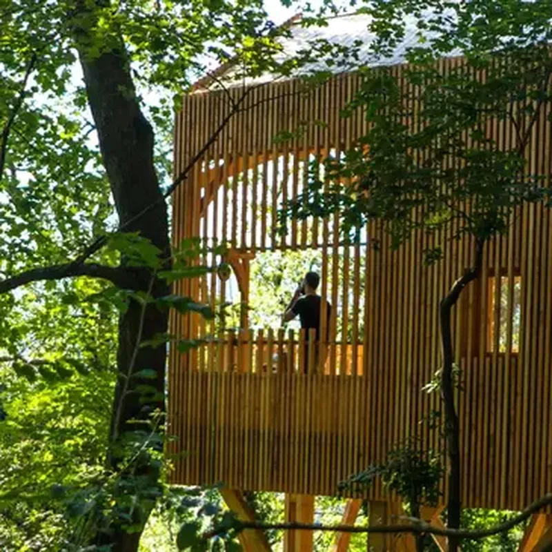 Billet Cabane dans les Arbres avec Spa près de Lyon