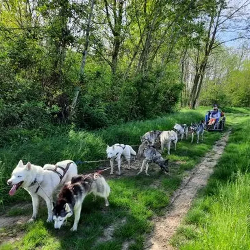 Billet Randonnée en Cani-Kart près de Valence