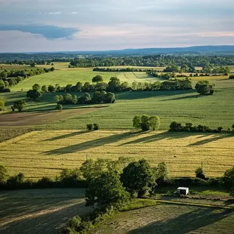 Billet Baptême en ULM Multiaxe - Survol du Perche