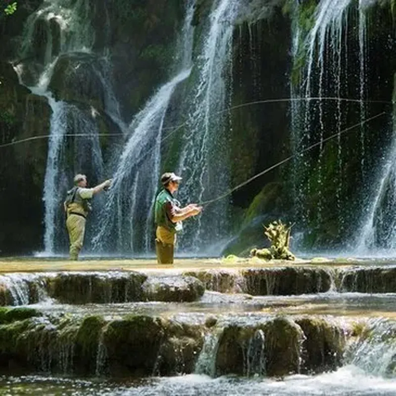 Billet Stage de Pêche Sportive dans le Jura