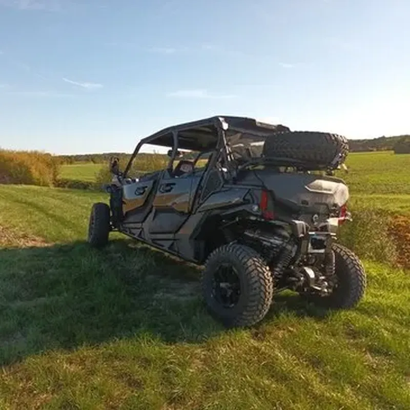 Billet Randonnée en Buggy près de Fontainebleau