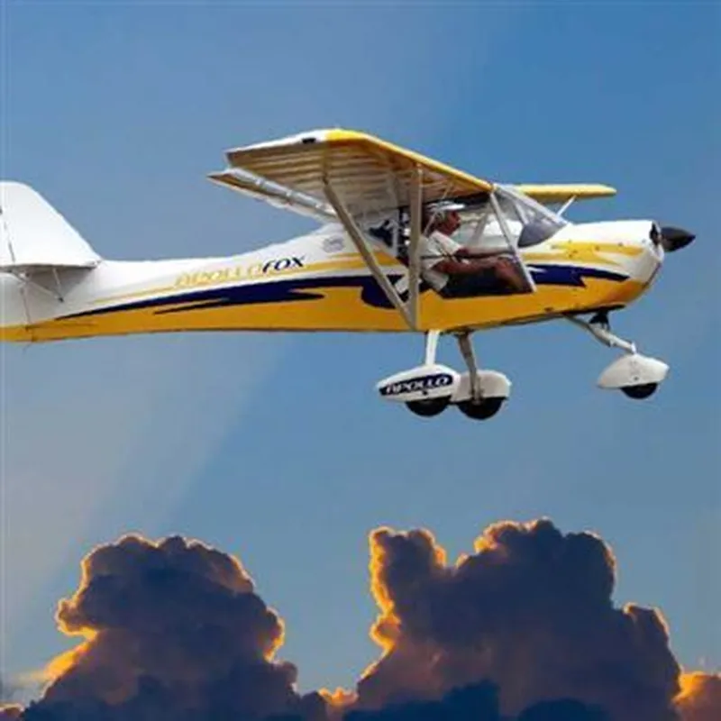 Billet Baptême en ULM Multiaxe dans le Cantal