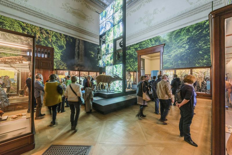 Billet AfricaMuseum Bruxelles : Billet d'entrée