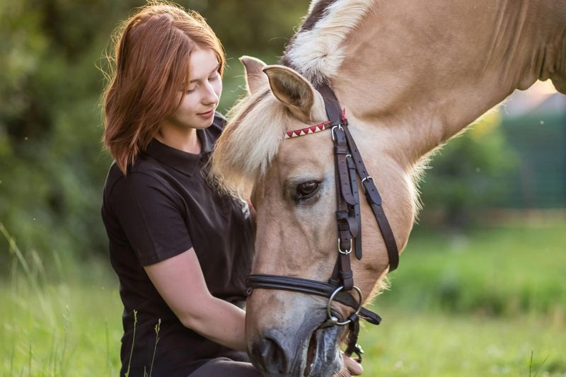 Billet Au départ de Cracovie : demi-journée d'équitation au bord du lac
