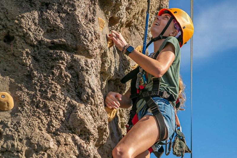Billet Gatorland Orlando : Croc Rock Aventure d'escalade et entrée au parc