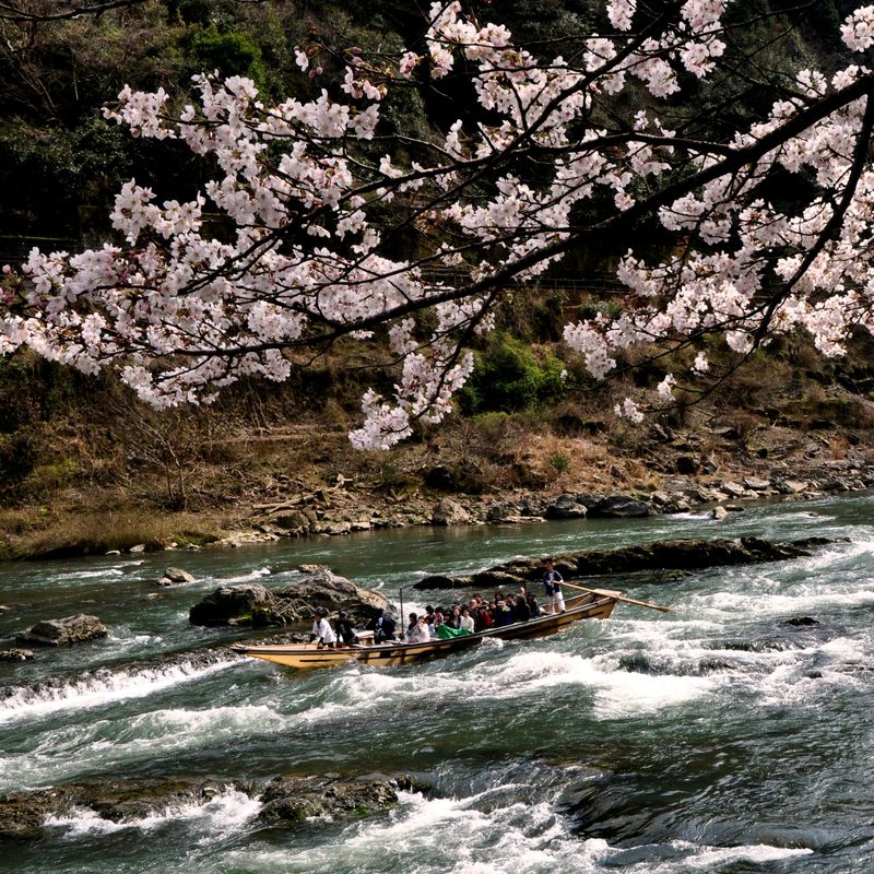 Billet Croisière sur le fleuve Hozugawa
