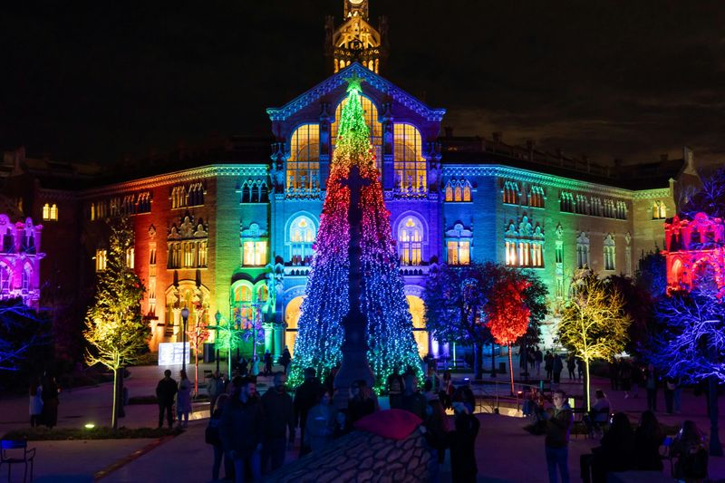 Billet Els Llums de Sant Pau : Christmas Garden