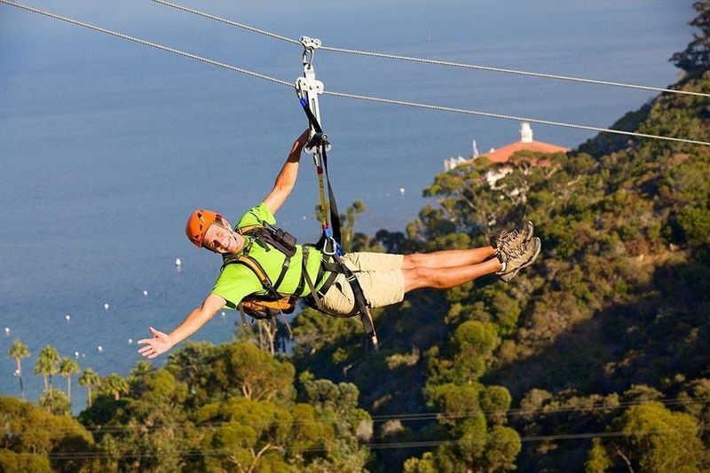 Billet Île de Catalina : Excursion d'une journée avec Zipline Eco Tour