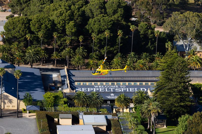 Billet Crête occidentale et fond de la vallée : vol de 20 minutes en hélicoptère