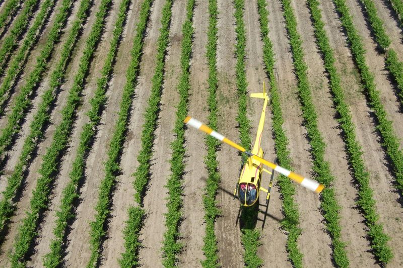 Billet Southern Barossa : vol privé en hélicoptère de 10 minutes