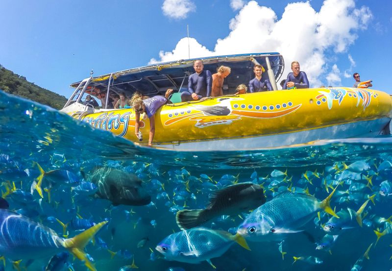 Billet Whitsundays Ocean Rafting : Snorkel, Walk & Whitehaven Beach