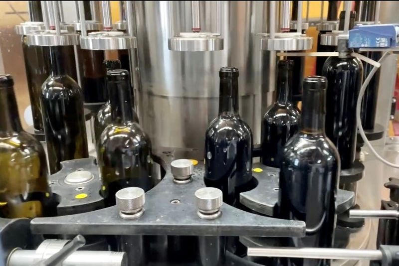 Billet Domaine viticole Reif : Visite à pied et dégustation