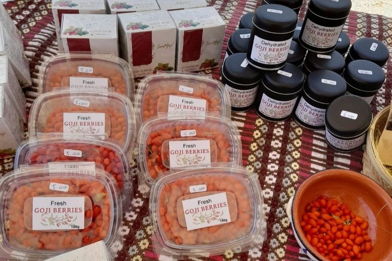 Billet Algarve : Excursion en Jeep au coucher du soleil + boisson