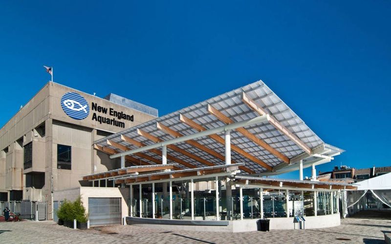 Billet Théâtre Simons : Shark Kingdom Film