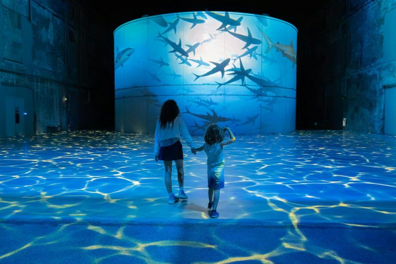 Billet Les Bassins des Lumières : Océan