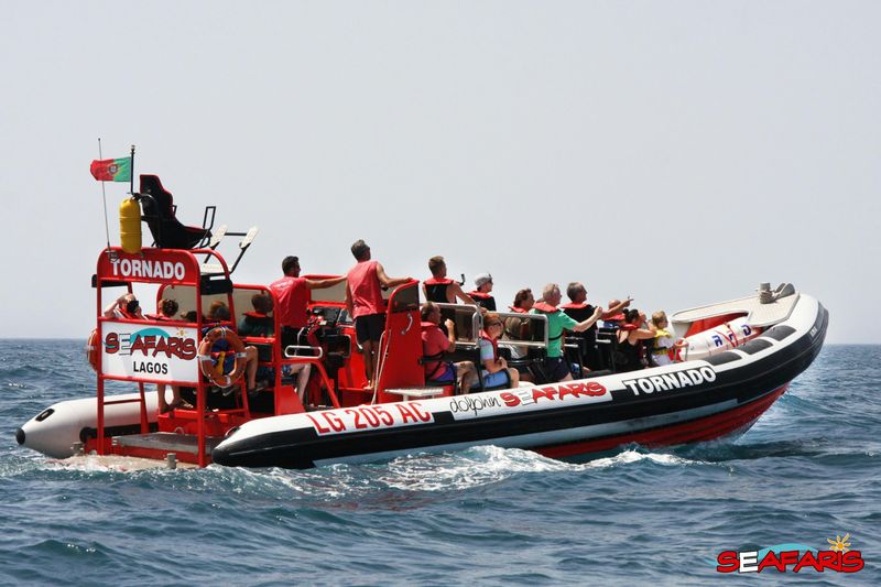 Billet Algarve : Observation guidée des dauphins