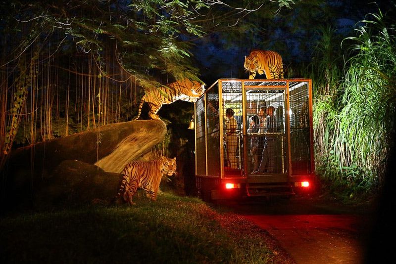 Billet Bali Safari & Marine Park : Safari de nuit